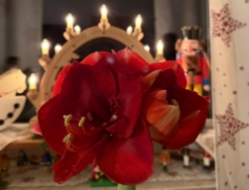BESINNLICHE WEIHNACHTSTAGE UND EINEN GUTEN START INS NEUE JAHR